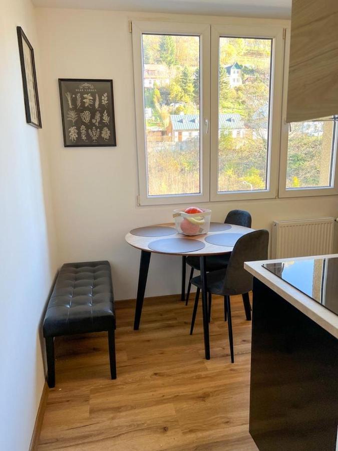 Apartman Visek Jachymov Exterior photo