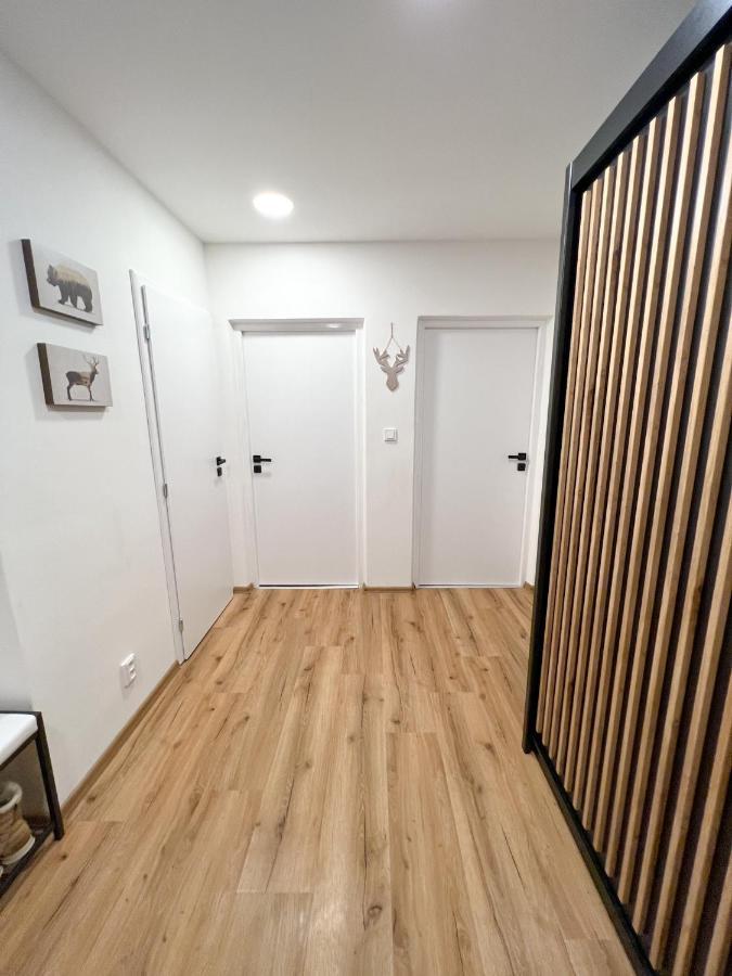 Apartman Visek Jachymov Exterior photo
