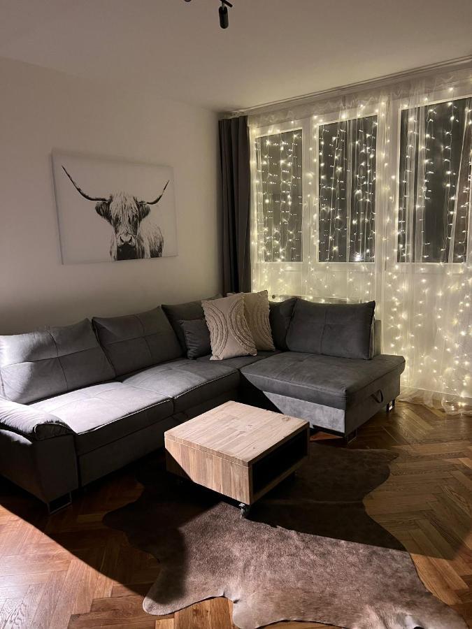 Apartman Visek Jachymov Exterior photo