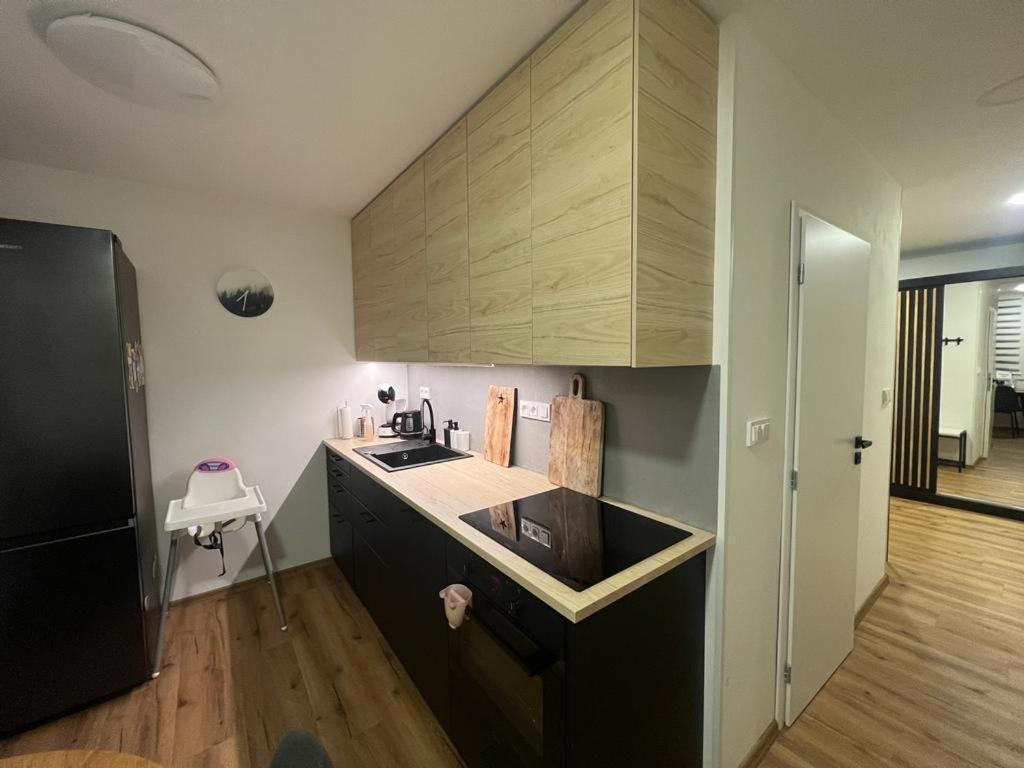 Apartman Visek Jachymov Exterior photo